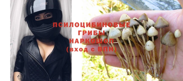 прущий лед Гусь-Хрустальный