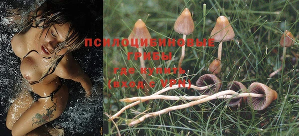 MESCALINE Гусев