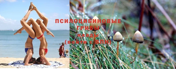 COCAINE Гусиноозёрск