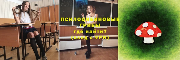 MESCALINE Гусев